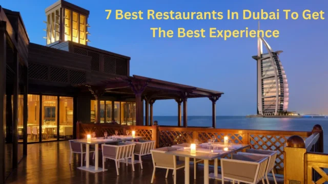 7 Best Restaurants In Dubai To Get The Best Experience